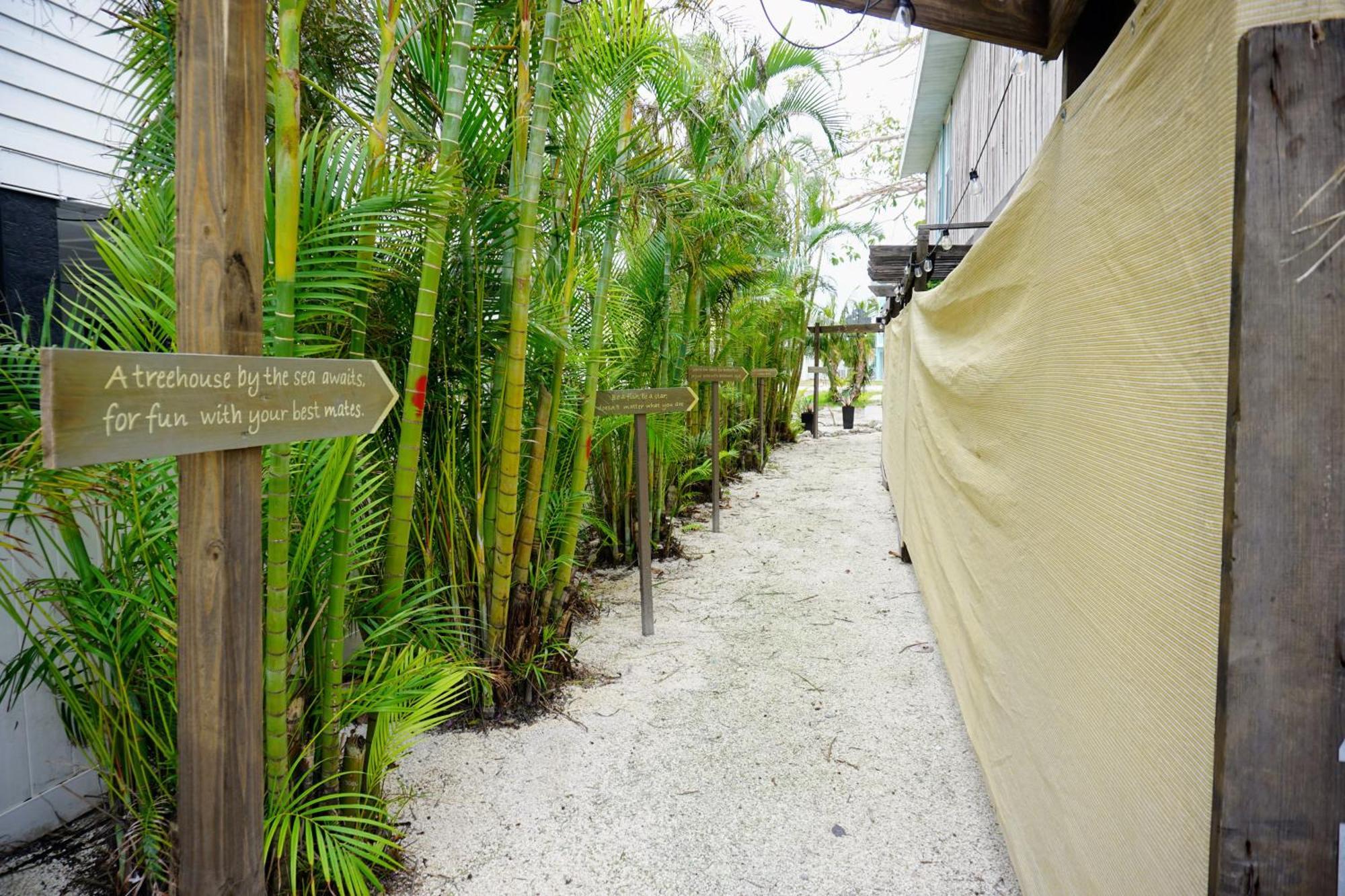 Ami Tree House Villa Bradenton Beach Buitenkant foto